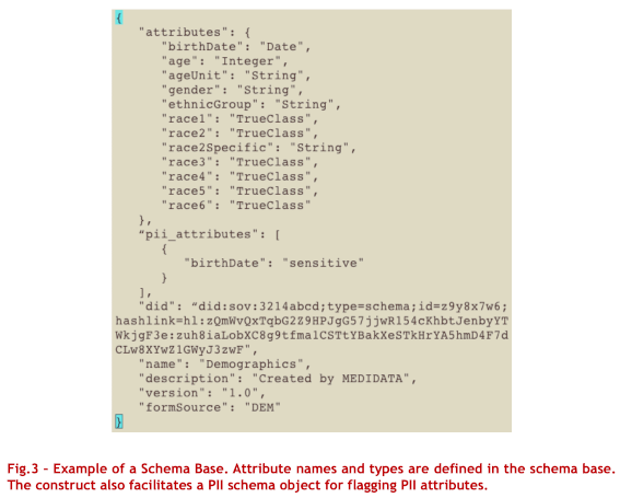 Figure 3: Example of a Schema Base. Attribute names and types are defined in the schema base. The construct also facilitates a PII schema object for flagging PII attributes.